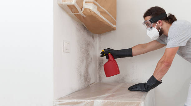 Professional Hvac And Air Duct Mold Remediation technician working in Peabody, MA
